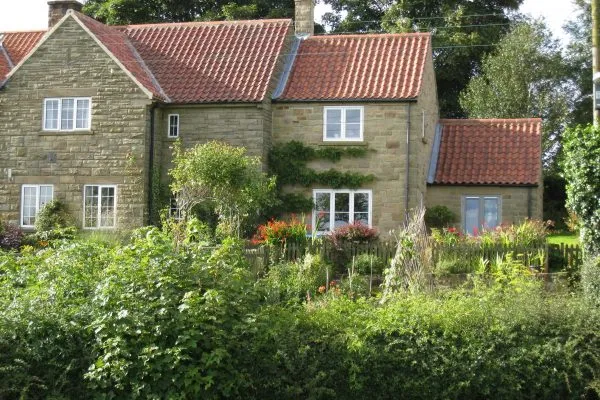 stoneextension stoneextension